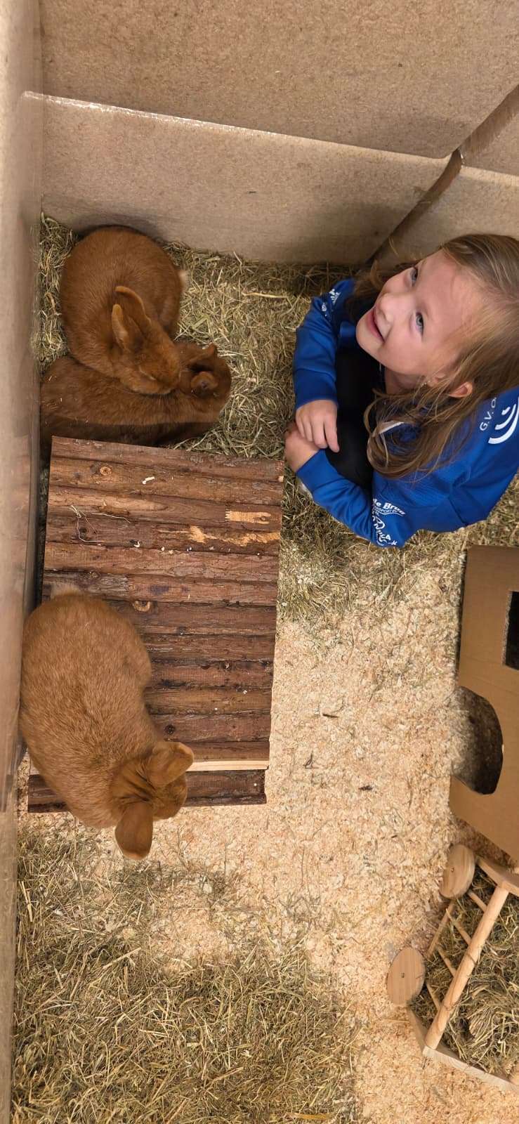 Cowboys te paard trekken bekijks tijdens Dierendag bij Welkoop Putten