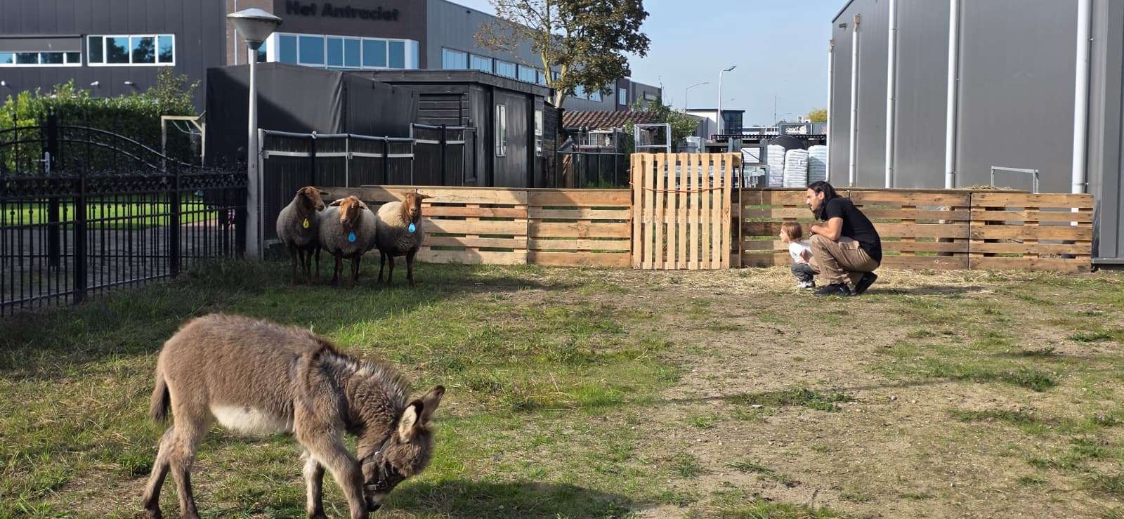 Cowboys te paard trekken bekijks tijdens Dierendag bij Welkoop Putten
