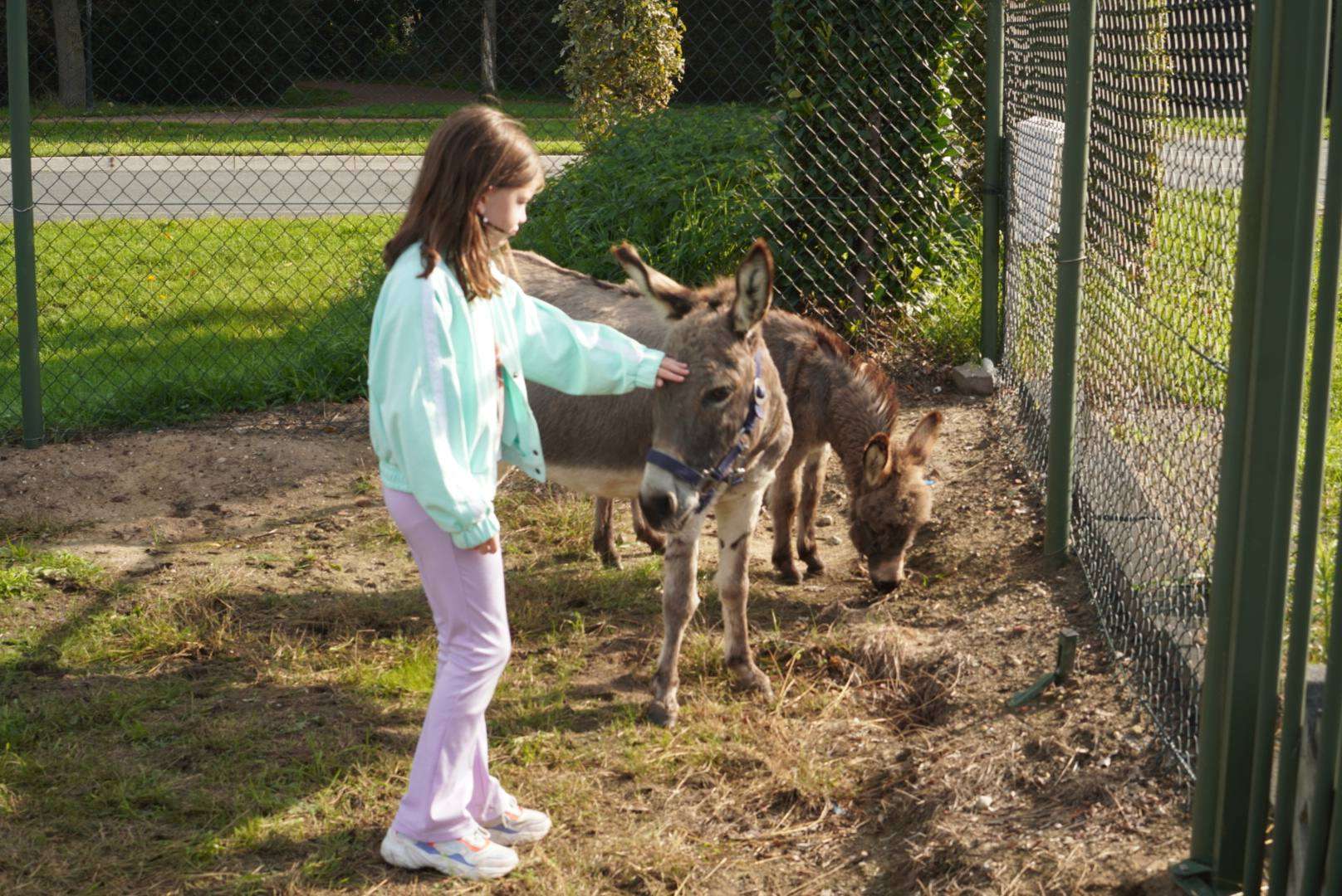 Cowboys te paard trekken bekijks tijdens Dierendag bij Welkoop Putten