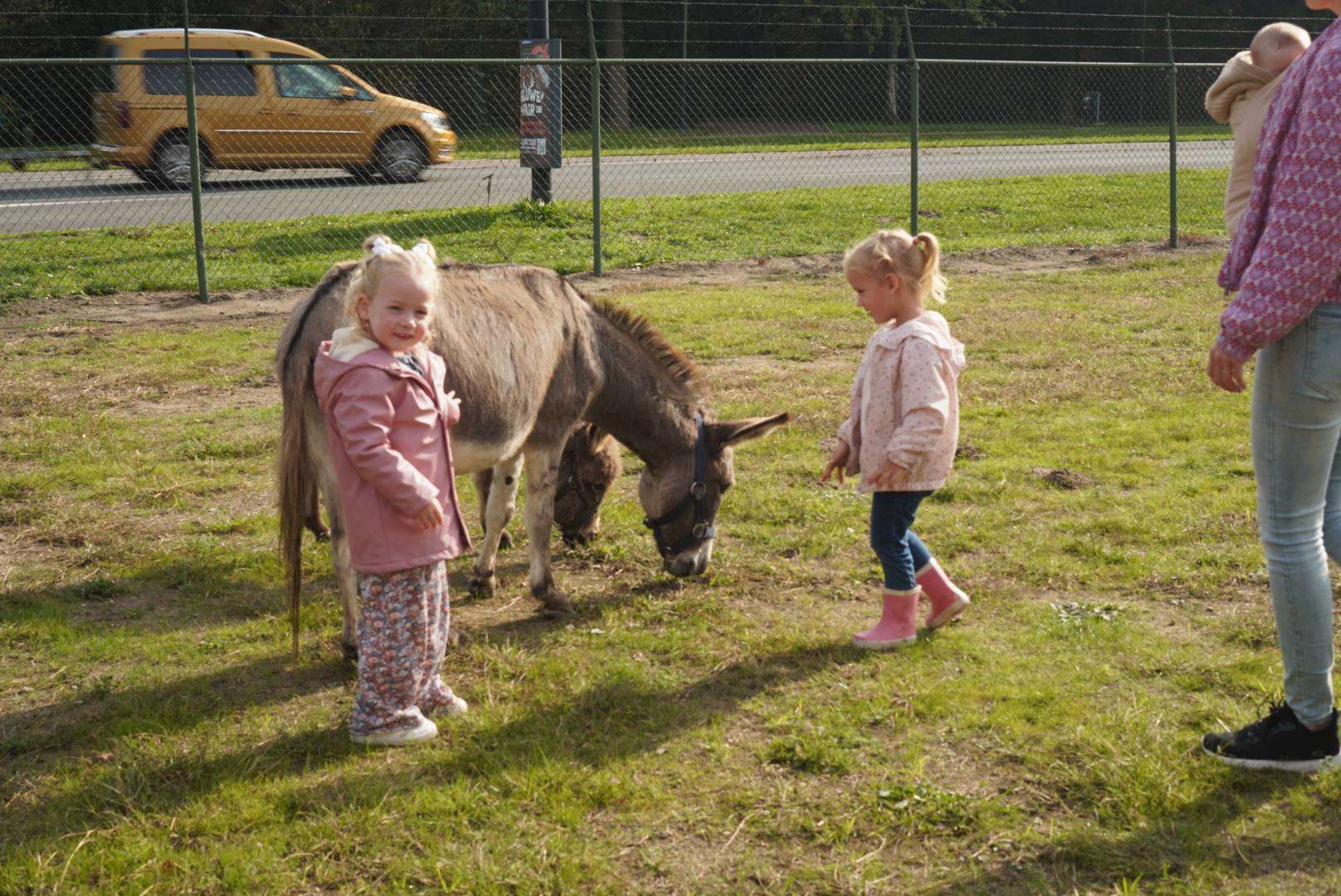 Cowboys te paard trekken bekijks tijdens Dierendag bij Welkoop Putten