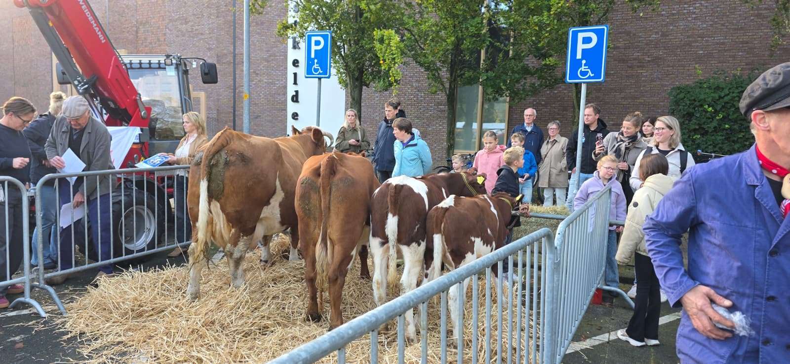 Van lekke band tot uitverkochte mopkoeken: Ossenmarkt brengt Putten weer samen